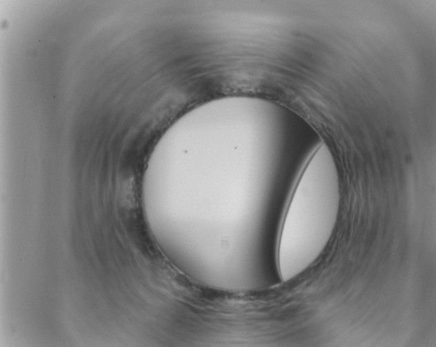 X0000088610224200705250905