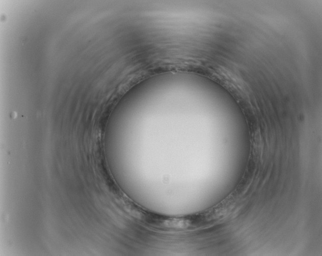 X0000088610225200705250905