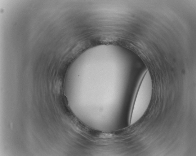 X0000088610227200705250905