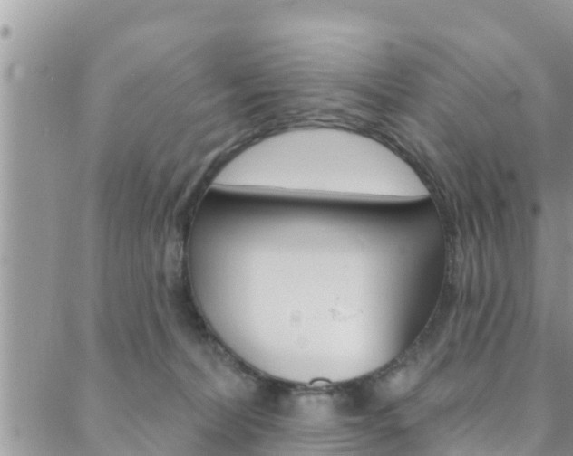 X0000088610228200705250905