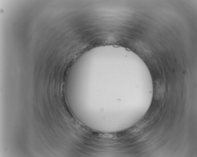 X0000088610230200705250905