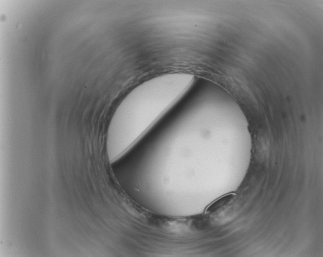 X0000088610232200705250905