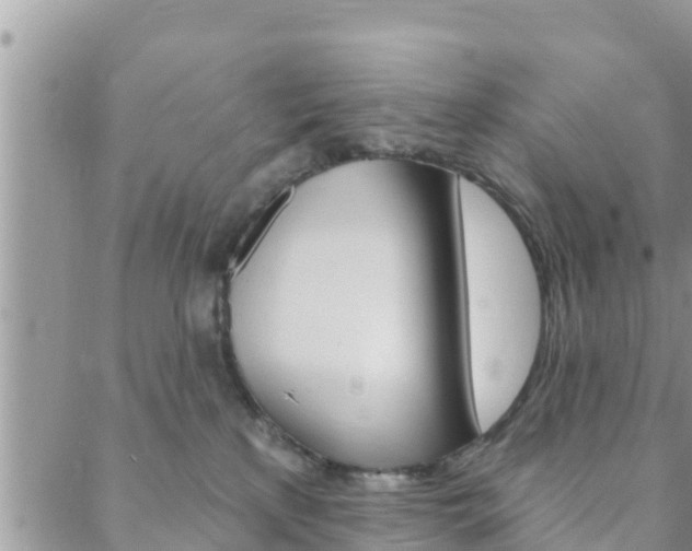 X0000088610233200705250905