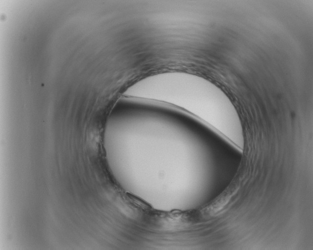 X0000088610235200705250905