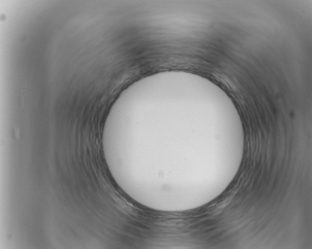 X0000088610237200705250905