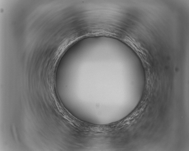 X0000088610241200705250904