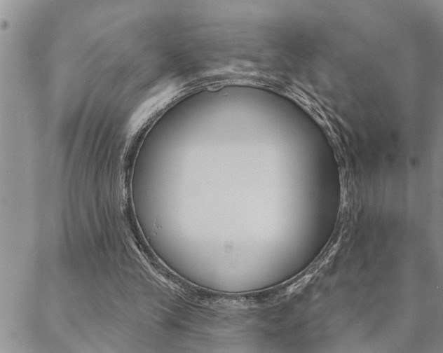 X0000088610245200705250904