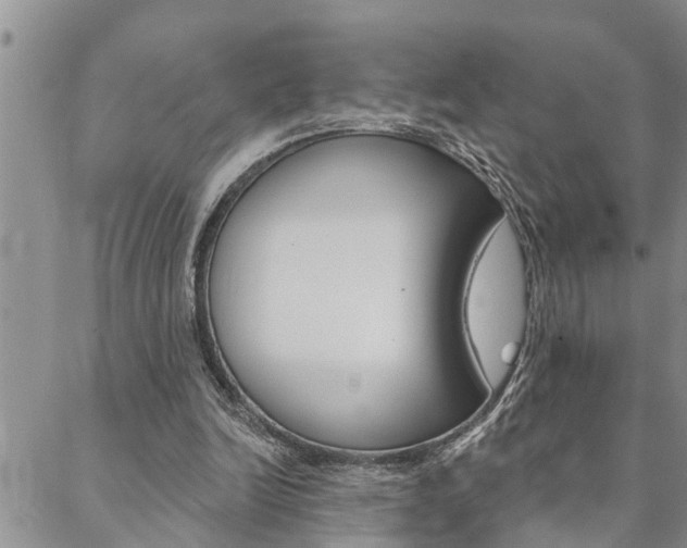 X0000088610246200705250904