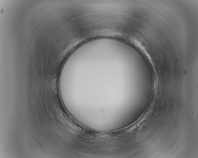 X0000088610249200705250904