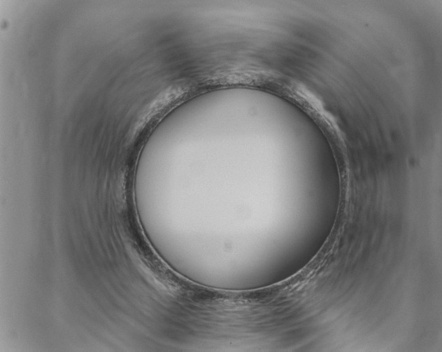 X0000088610250200705250904