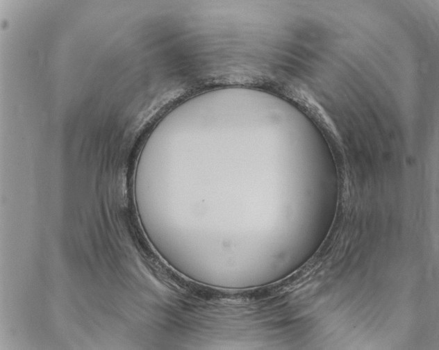 X0000088610251200705250904