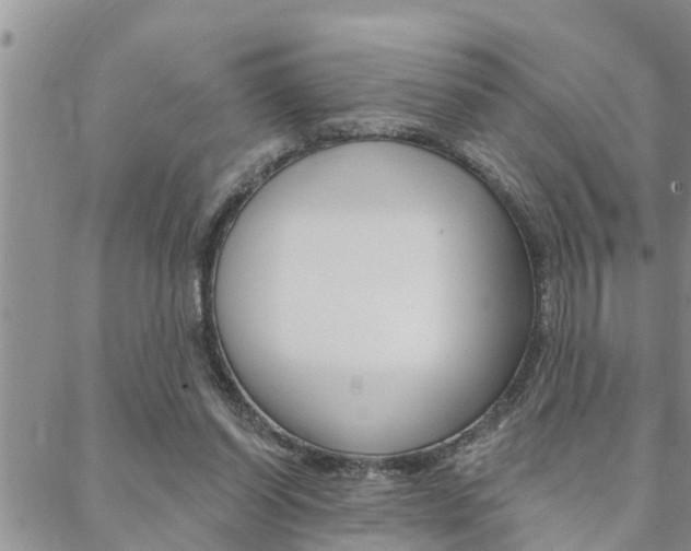 X0000088610254200705250904