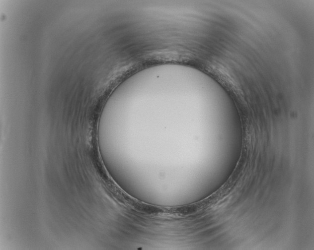 X0000088610255200705250905