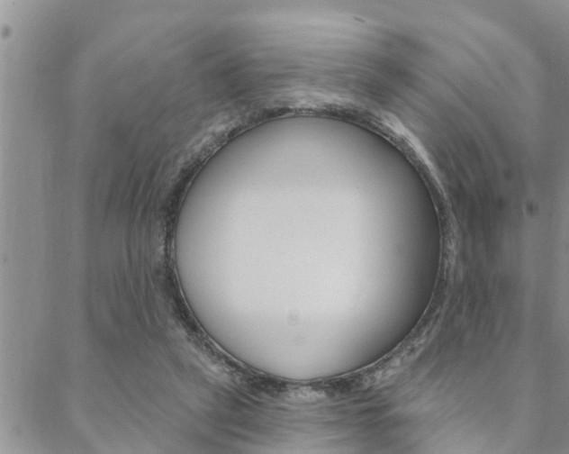 X0000088610257200705250905