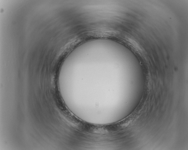 X0000088610258200705250905