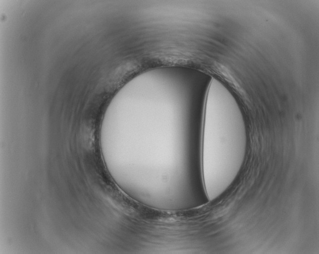 X0000088610259200705250905