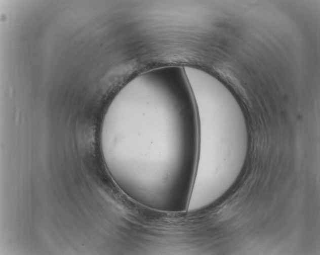 X0000088610260200705250905