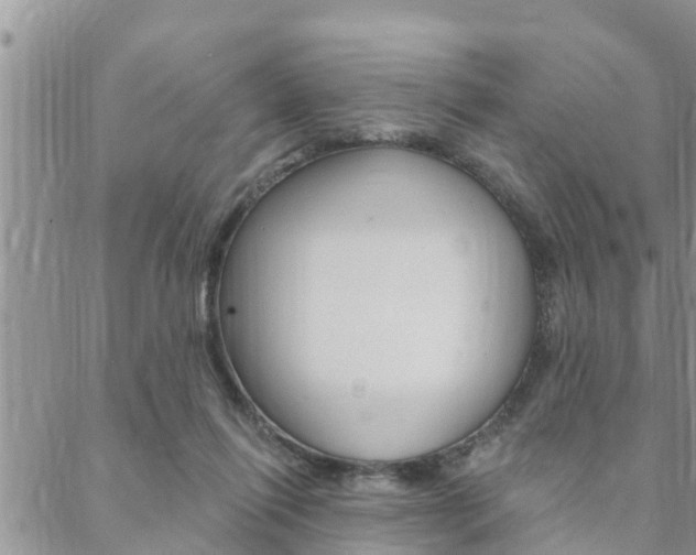 X0000088610262200705250905