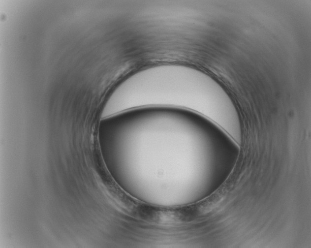 X0000088610264200705250905