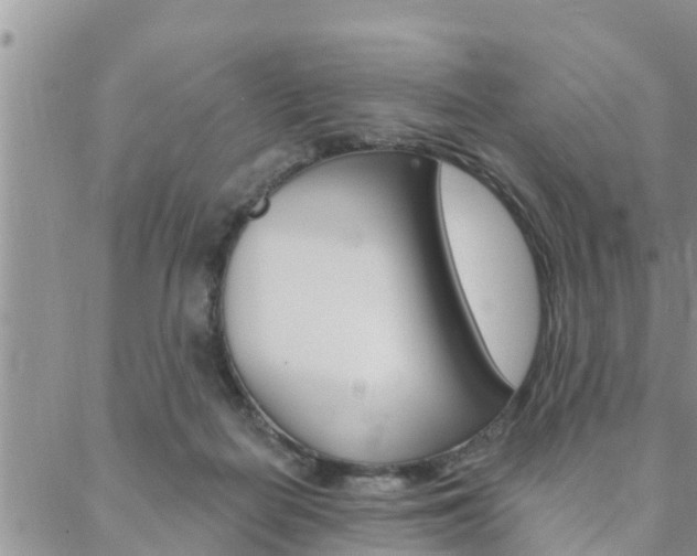 X0000088610266200705250905