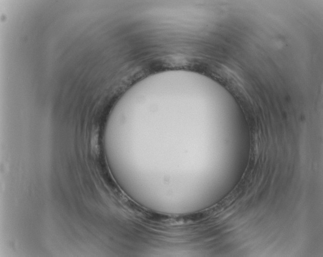 X0000088610267200705250905