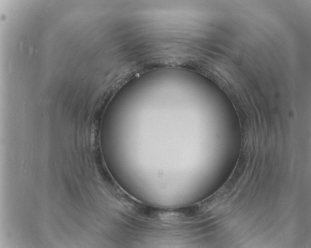 X0000088610268200705250905