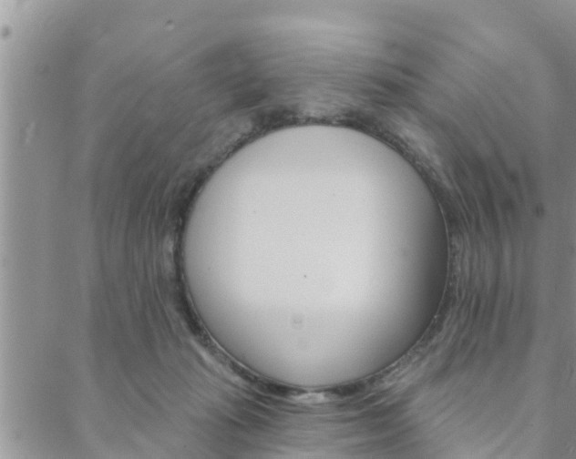 X0000088610269200705250905