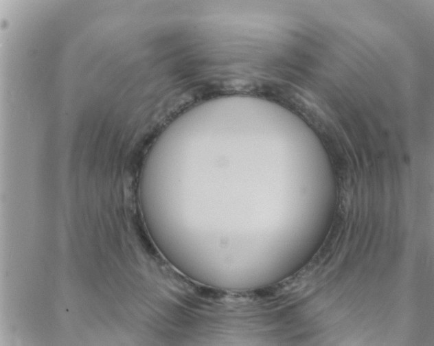 X0000088610270200705250905