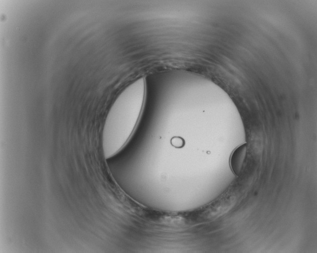 X0000088610271200705250905