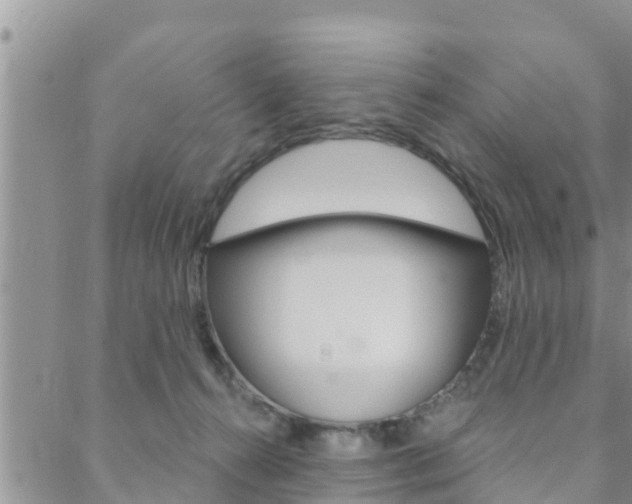 X0000088610272200705250905