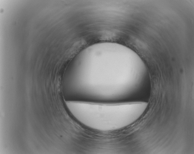 X0000088610273200705250905