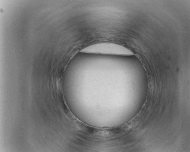 X0000088610276200705250905