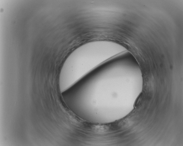 X0000088610277200705250905