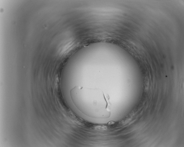 X0000088610279200705250905