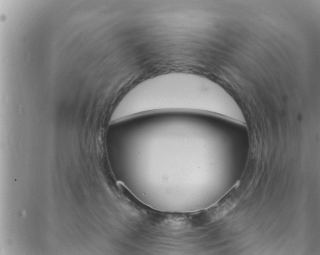 X0000088610280200705250905