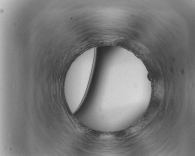 X0000088610283200705250905