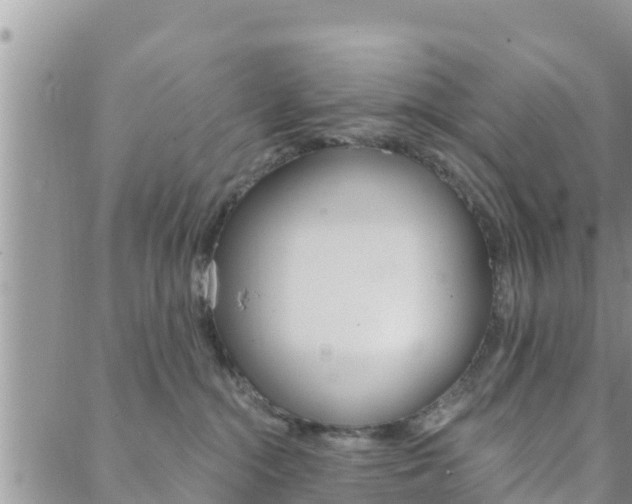 X0000088610284200705250905