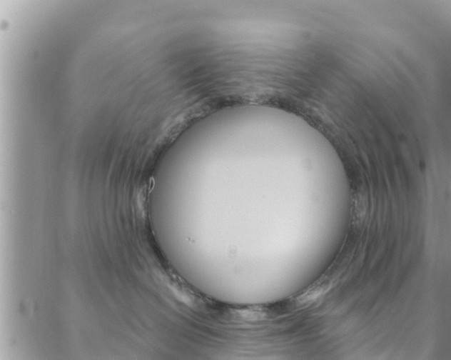 X0000088610286200705250905