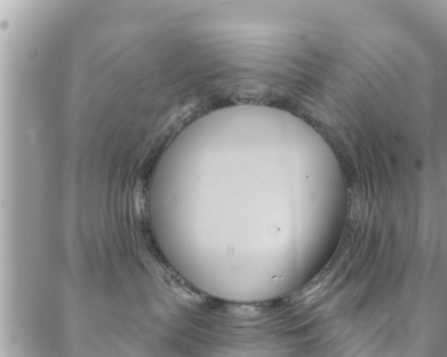 X0000088610287200705250905