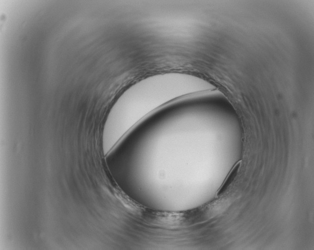 X0000088610288200705250905