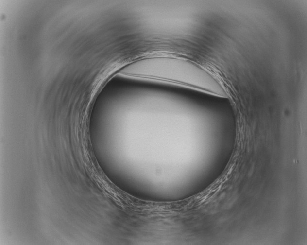 X0000088610289200705250904