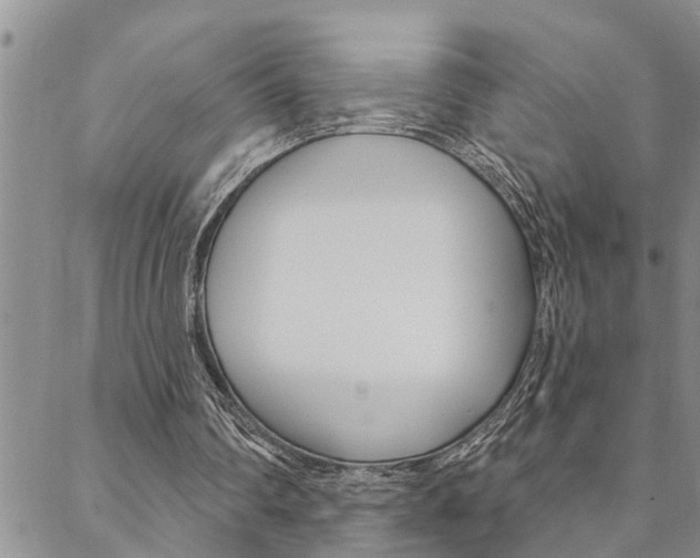 X0000088610290200705250904