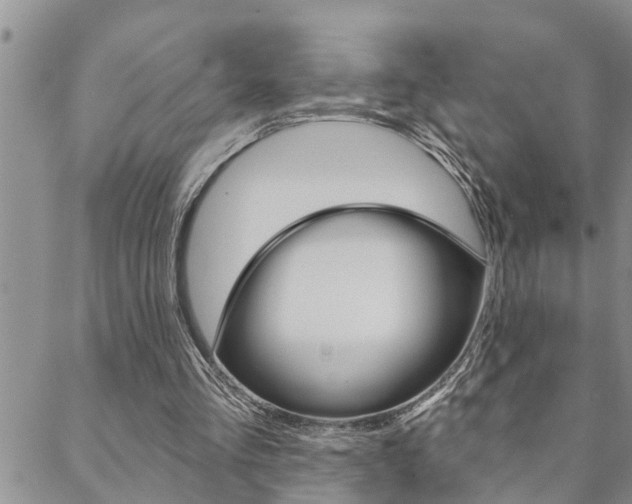 X0000088610293200705250904