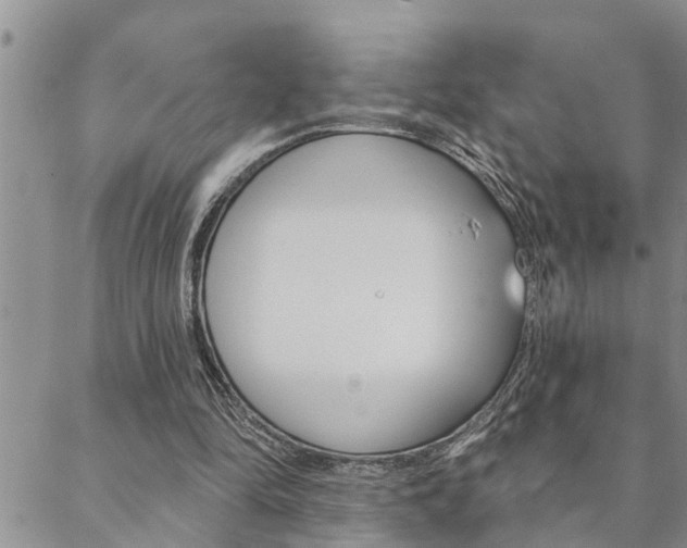 X0000088610294200705250904