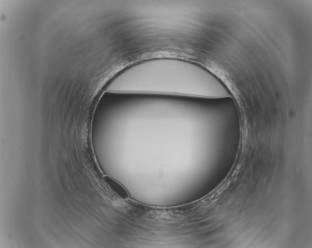 X0000088610297200705250904