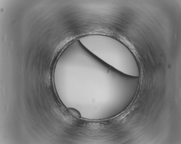 X0000088610298200705250904