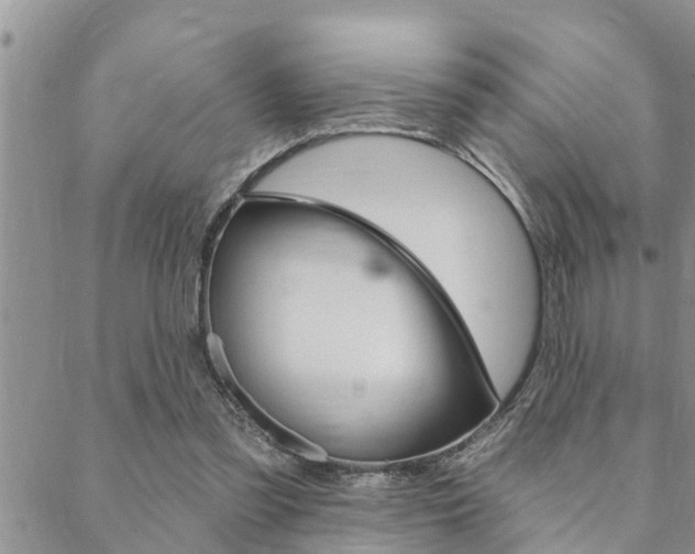 X0000088610301200705250904