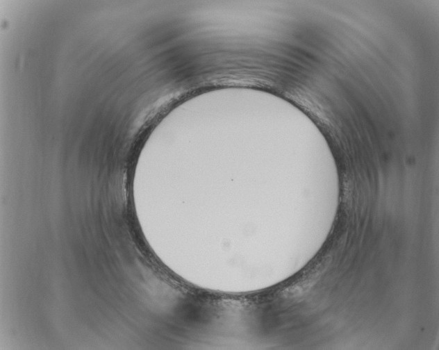 X0000088610302200705250904