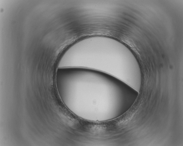 X0000088610303200705250904