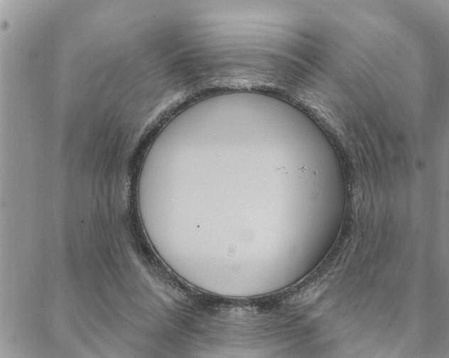 X0000088610304200705250904